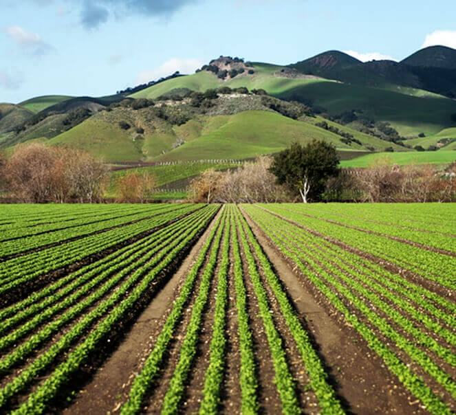 行业场景图像四